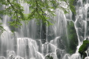 世界滑板公开赛职业联赛季票与会员福利公布，滑板世界大赛